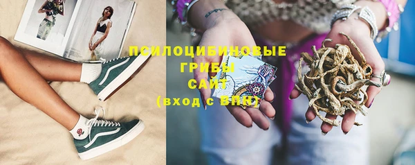 ешки Алзамай