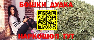 гидра Гай