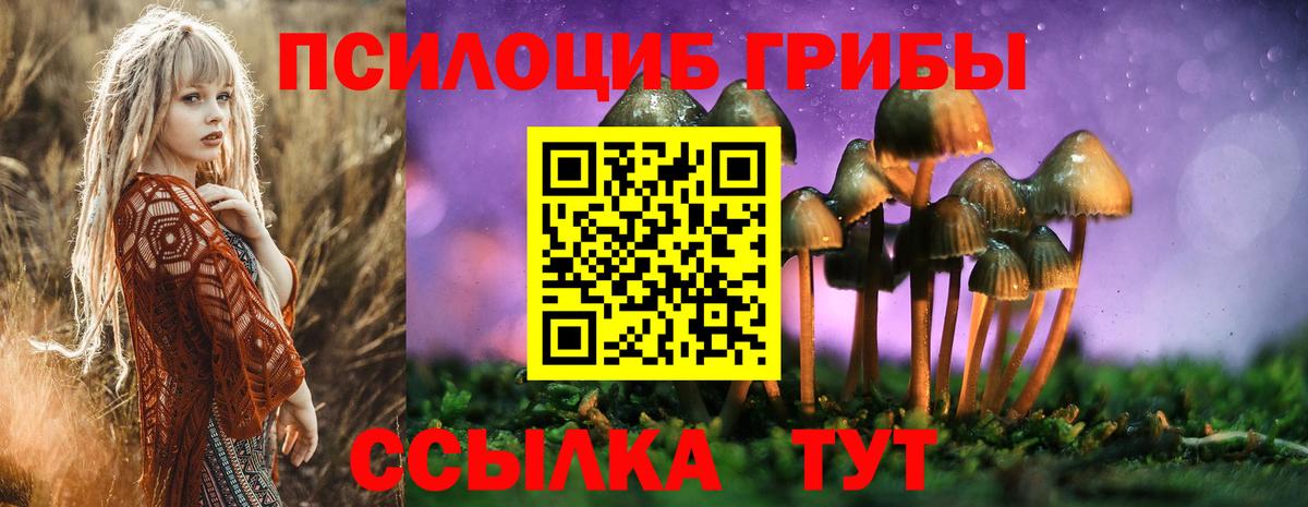 Псилоцибиновые грибы Psilocybine cubensis Старая Купавна